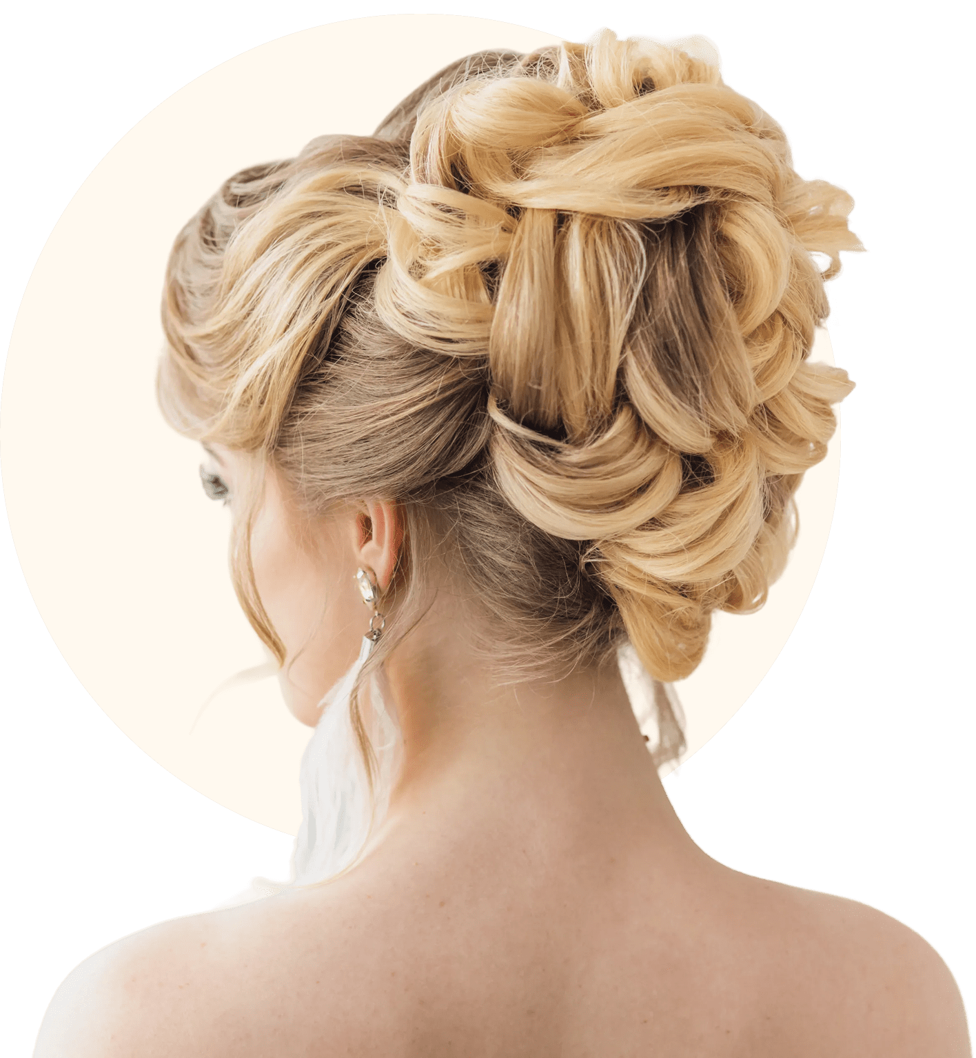Elegant braided updo hairstyle